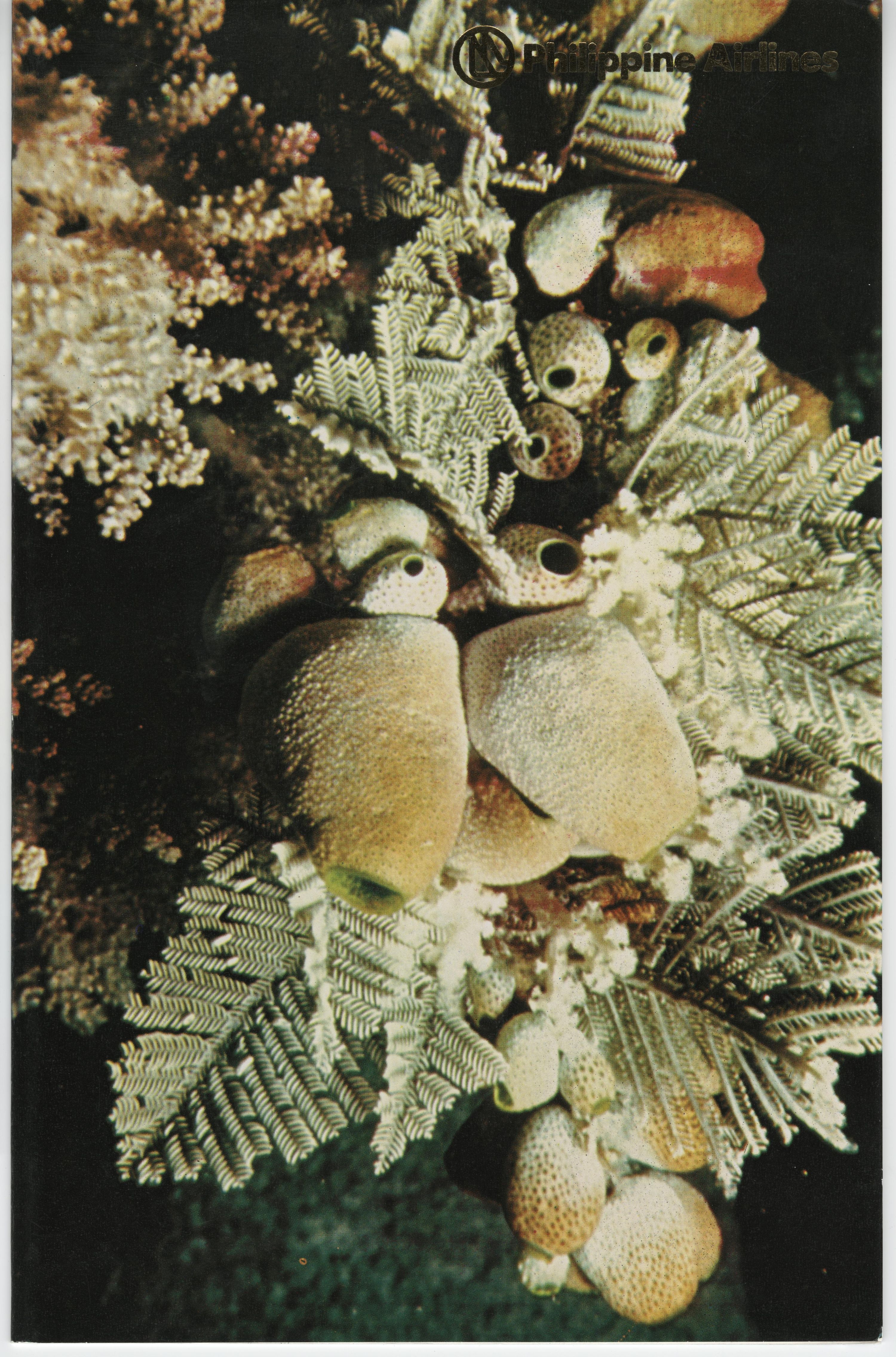 Cover, Fiesta Service, Manila to Hong Kong